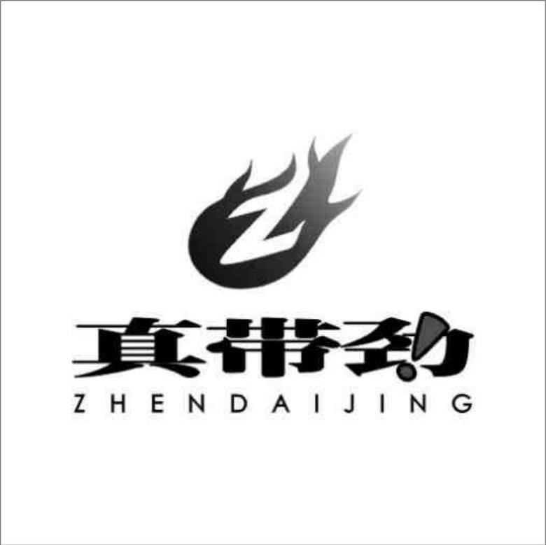 真带劲 Z