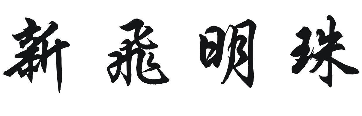 新飞明珠