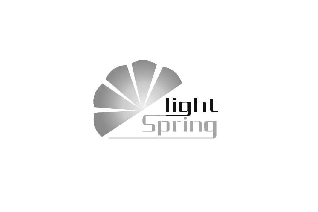 LIGHT SPRING