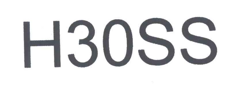 H30SS