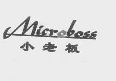 小老板   MICROBOSS