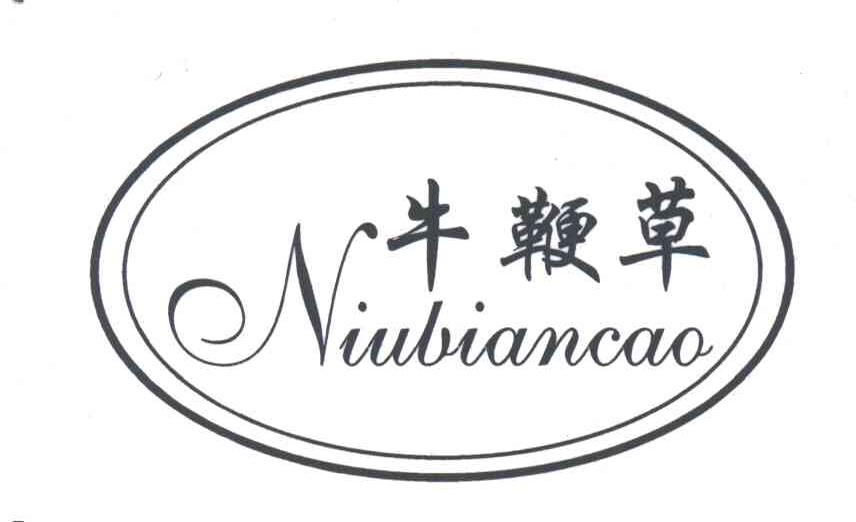 牛鞭草