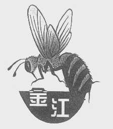 金江