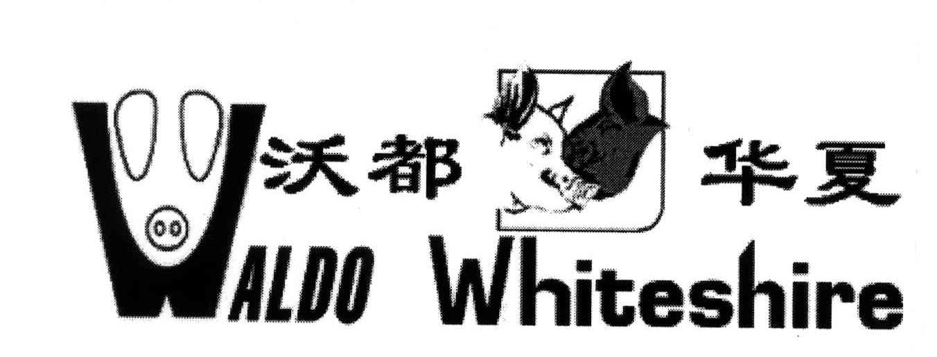沃都华夏;WALDO WHITESHIRE