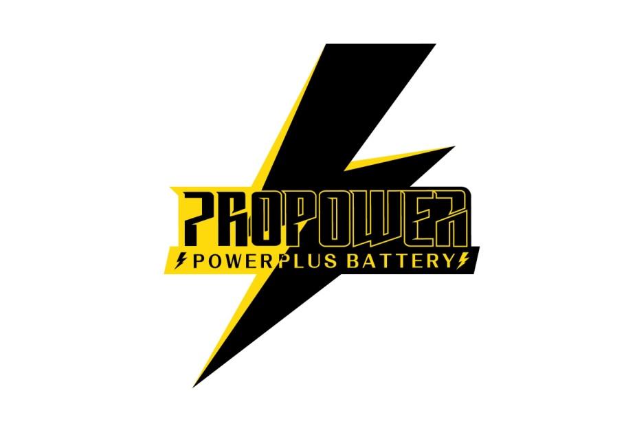 PROPOWER POWERPLUS BATTERY