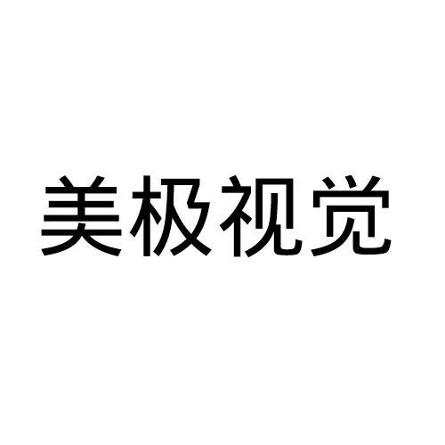 美极视觉