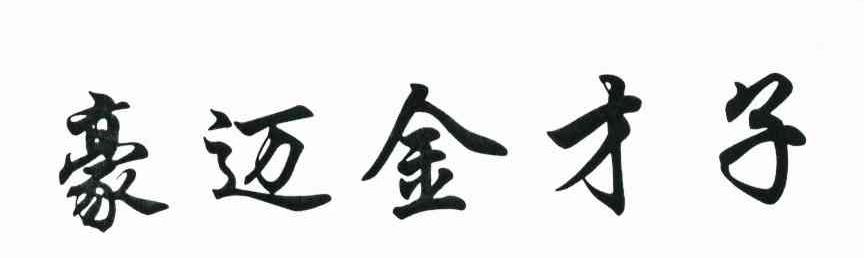 豪迈金才子