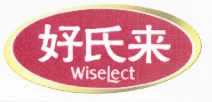 好氏来 WISELECT