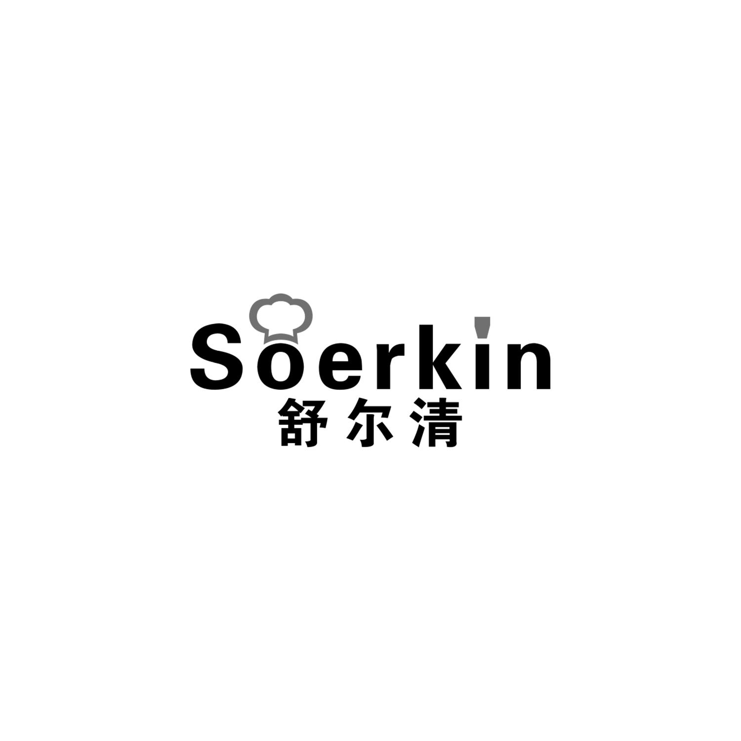 舒尔清 SOERKIN