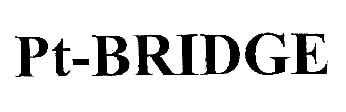 PT-BRIDGE