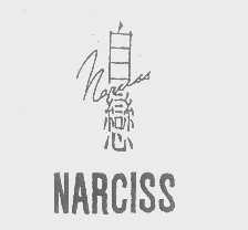 自恋   NARCISS