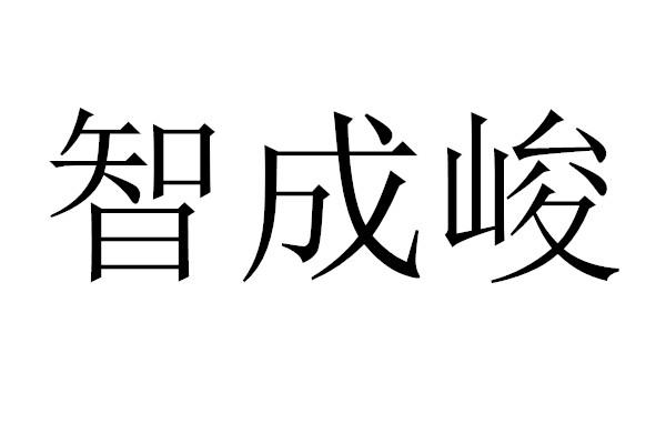 智成峻