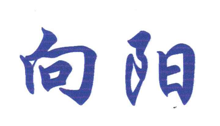 向阳