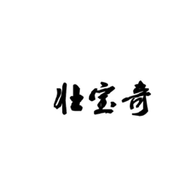 壮宝奇