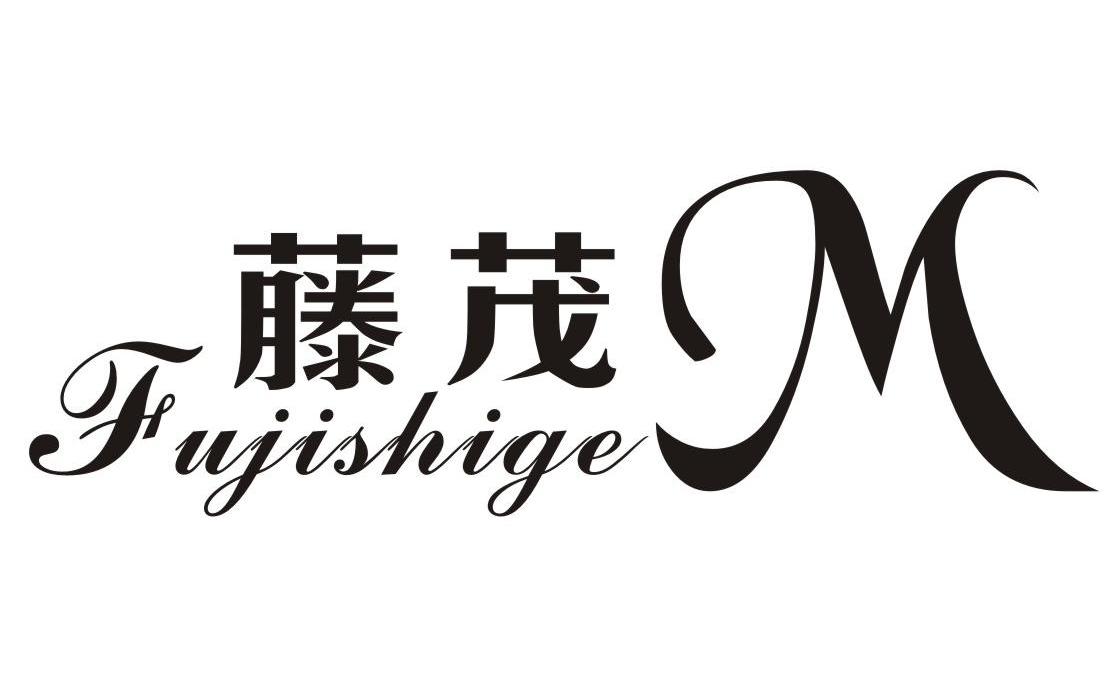 藤茂 FUJISHIGE M