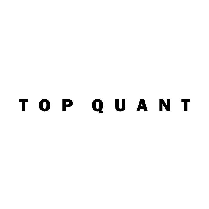 TOP QUANT