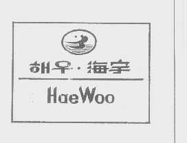 海宇   HAEWOO