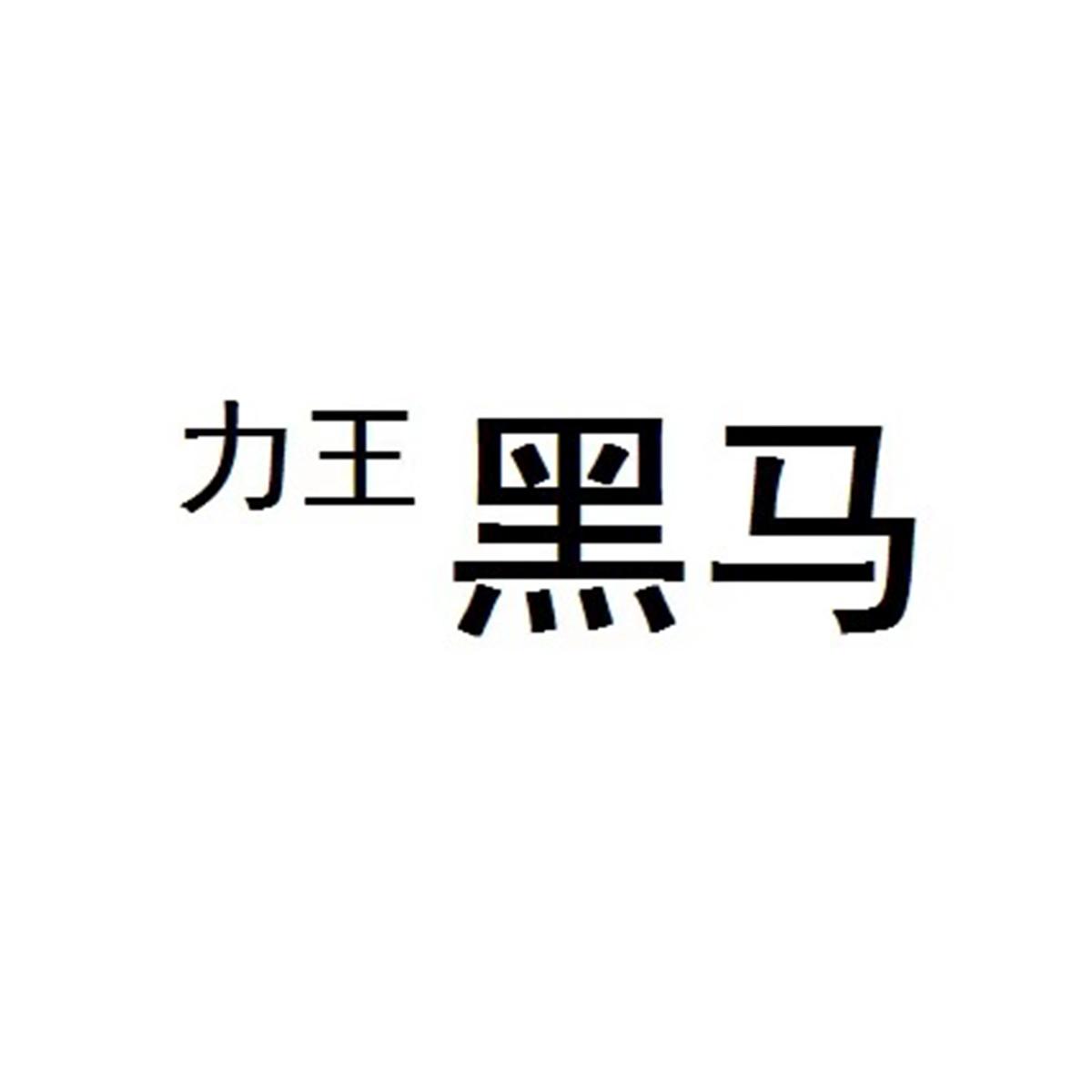 力王 黑马