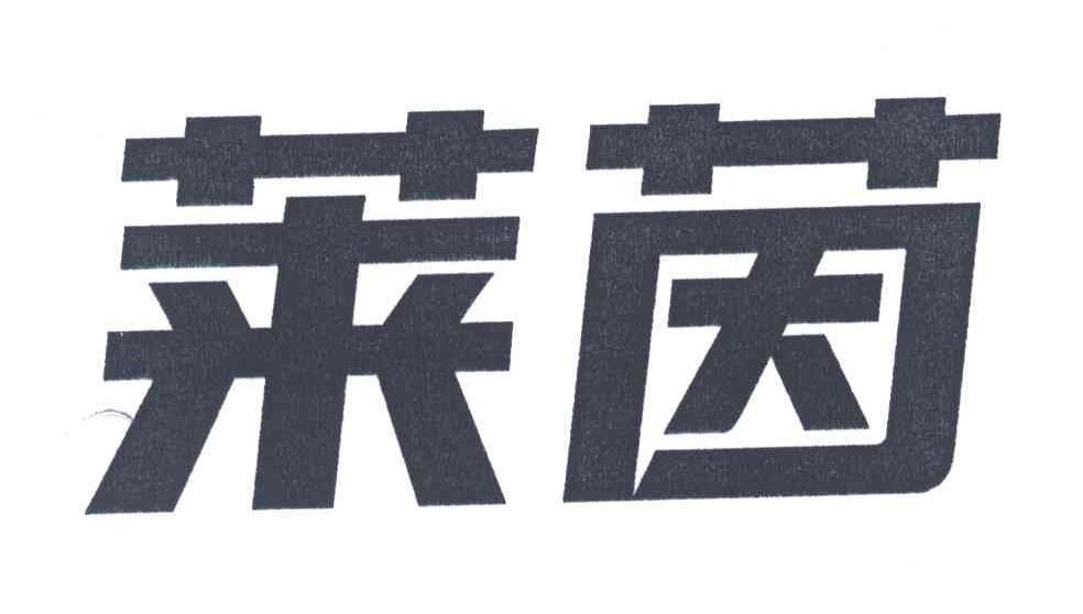 莱茵