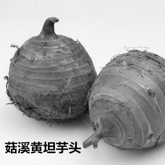 菇溪黄坦芋头