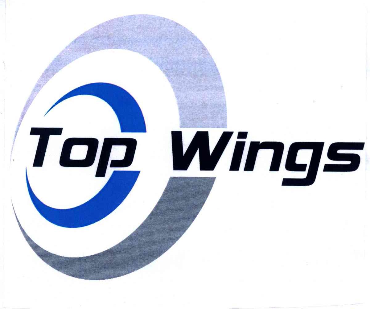 TOP WINGS
