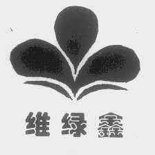 维绿鑫
