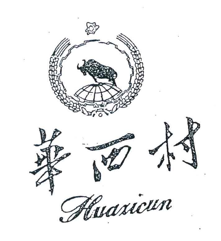 华西村