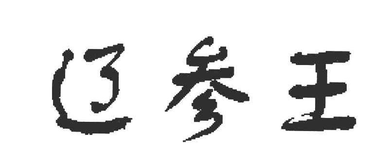 辽参王