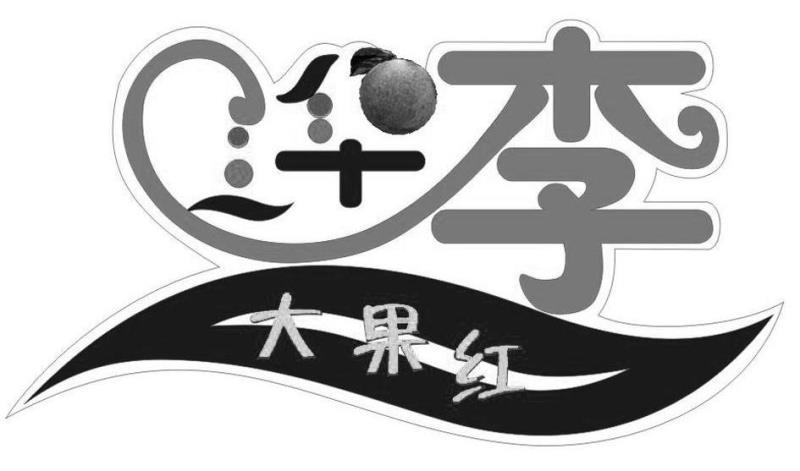 大果红 李