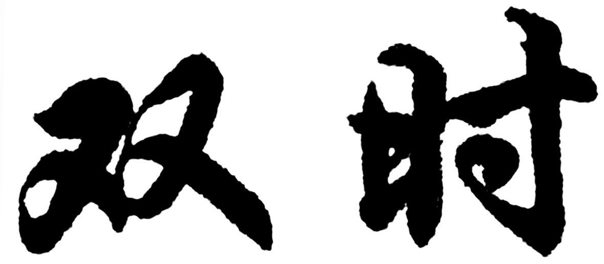 双时