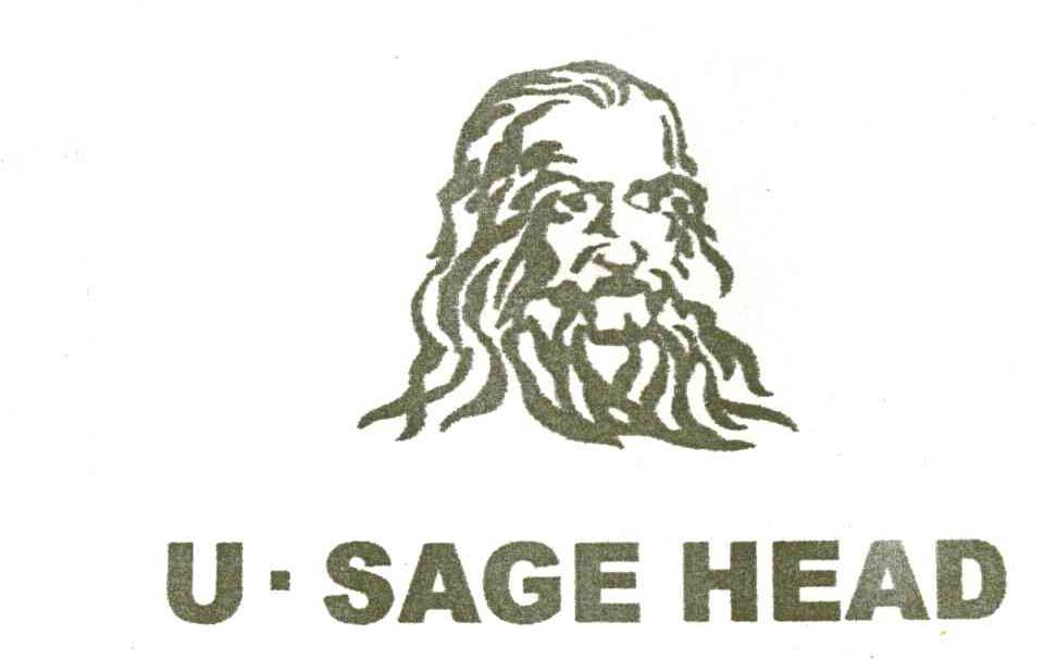 U.UASGE HEAD及图形