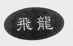 飞龙