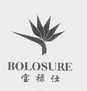 宝禄仕   BOLOSURE