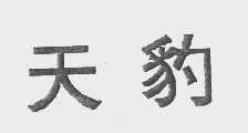 天豹