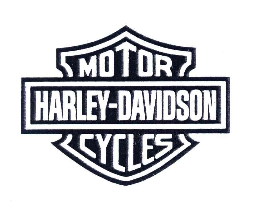 MOTOR HARLEY DAVIDSON CYCLES