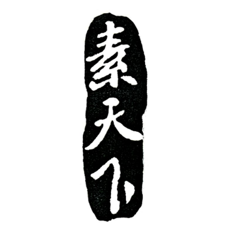 素天下