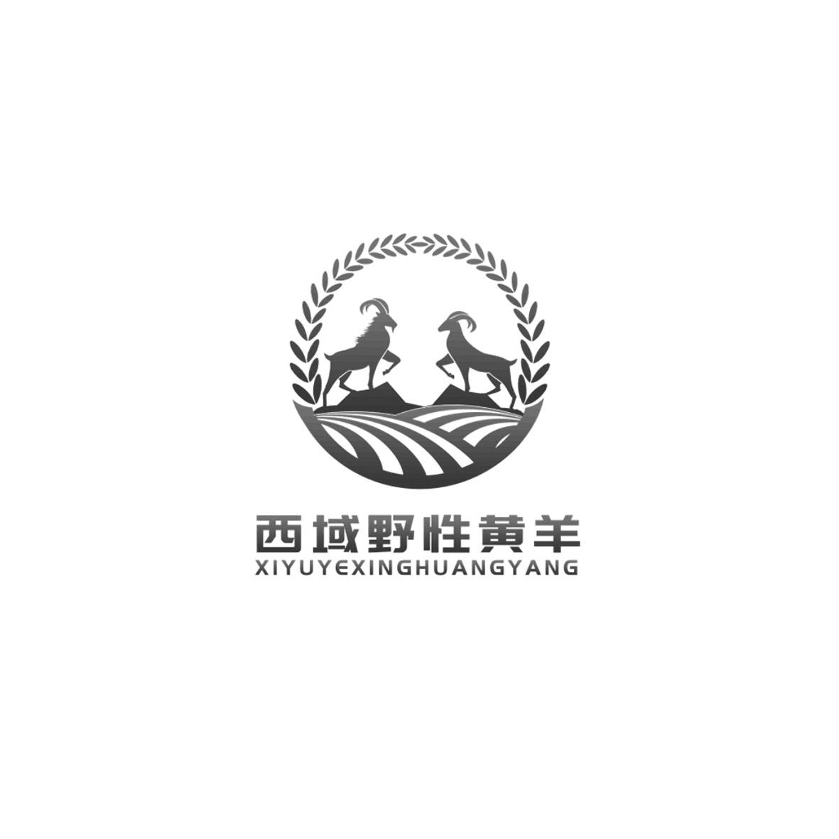 西域野性黄羊