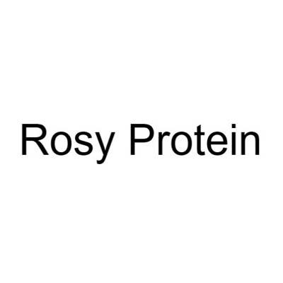 ROSY PROTEIN