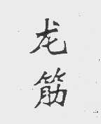 龙筋