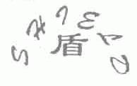 SHIELD;盾
