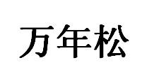 万年松