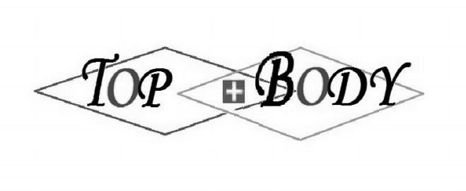 TOP BODY