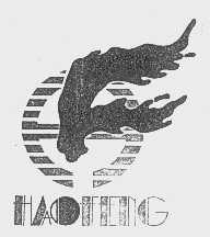 HAOFENG