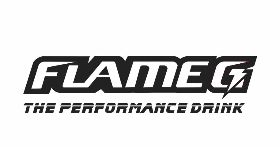 FLAMEG THE PERFORMANCE DRINK