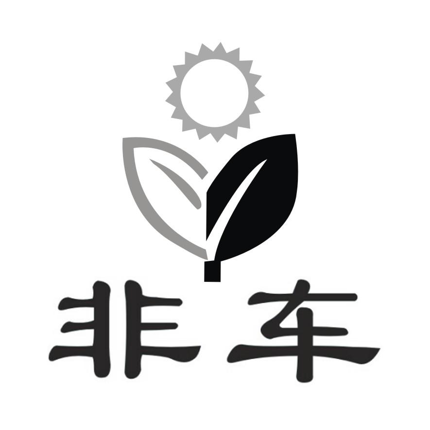 非车