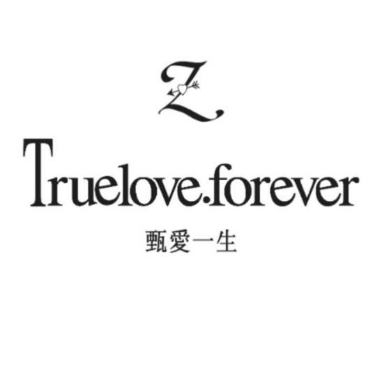 甄爱一生 TRUELOVE.FOREVER Z