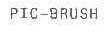 PIC-BRUSH