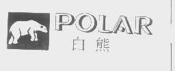 白熊   POLAR