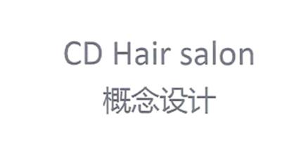 CD HAIR SALON 概念设计