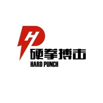 硬拳搏击 HARD PUNCH
